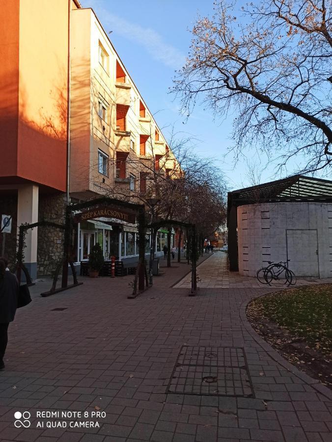 Centrum 2 Apartman Szolnok Eksteriør billede